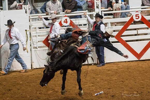 Stock Show 1-30-15-31