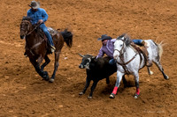 Stock Show 2018-13