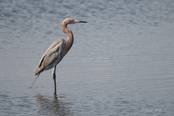 Titusville 2018-24