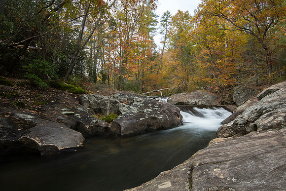 North GA fall 2017-66