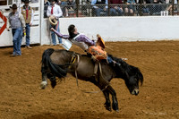 Stock Show 1-27-17-9