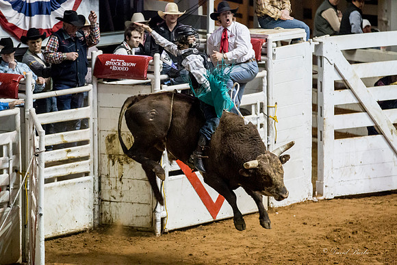 Stock Show 1-30-15-113