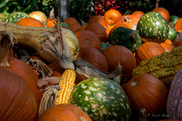Arboretum 10-18-14-30