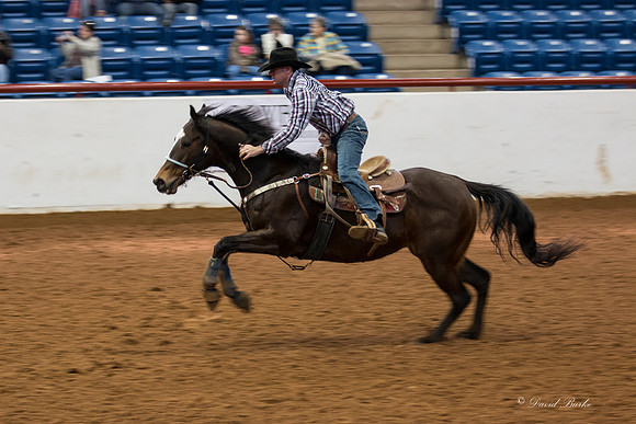 Stock Show 2-3-15-25