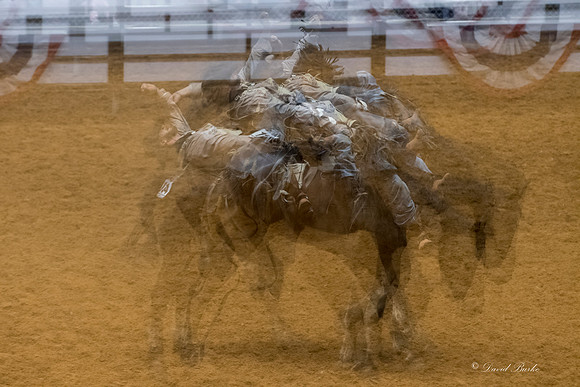 Stock Show 2018-2