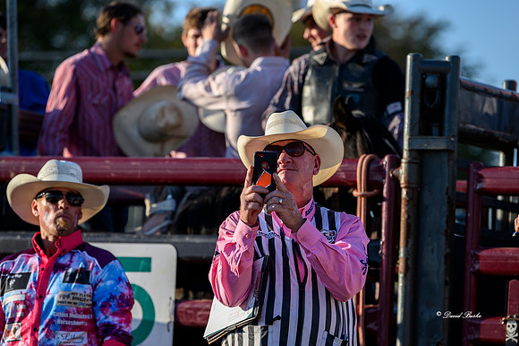 Hamel Rodeo-8