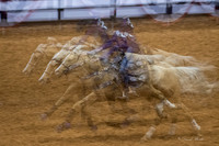 Stock Show 2018-35
