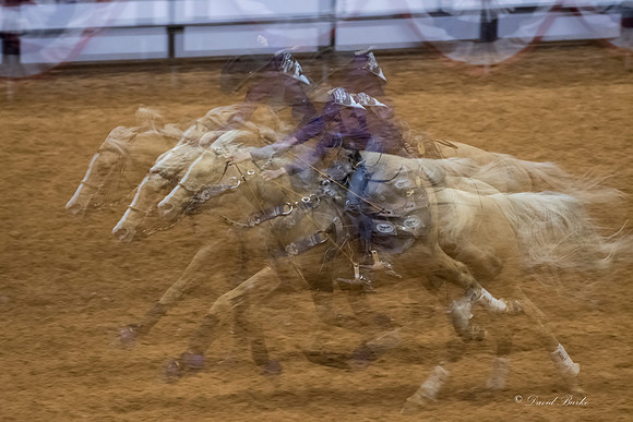 Stock Show 2018-35