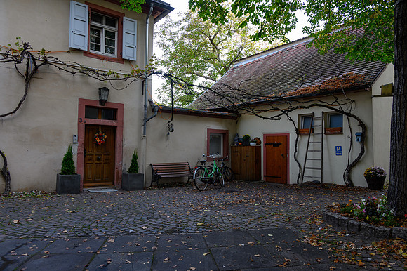Speyer 2021-20