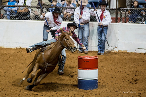 Stock Show 1-30-15-94