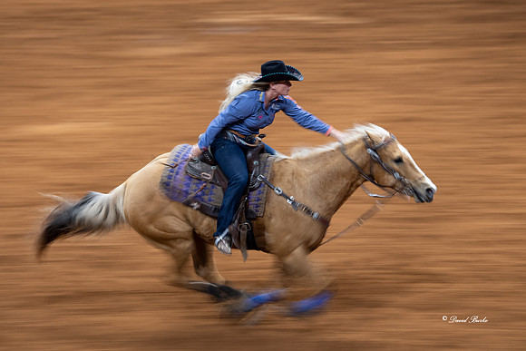 Stock Show 2019-38