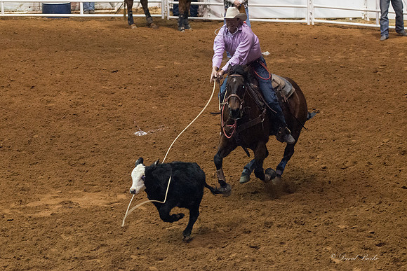 2014 Stock Show Rodeo-152
