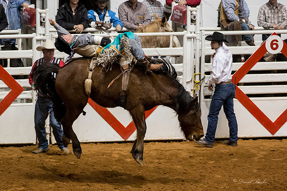 Stock Show 1-30-15-17