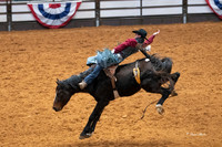 Stock Show 2019-29