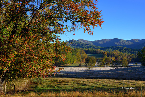 Fall Color 2019-3