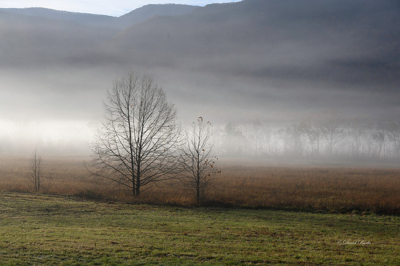 GSMNP 2022-76