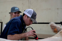 Stock Show 2019-1