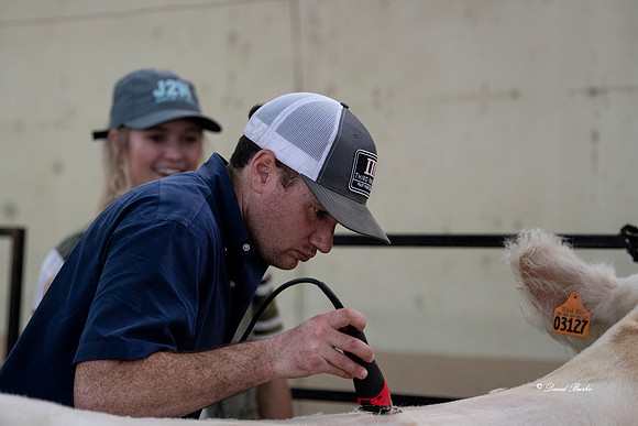 Stock Show 2019-1