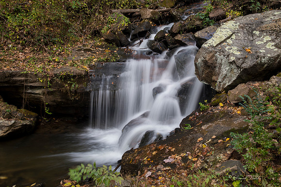 North GA fall 2017-51