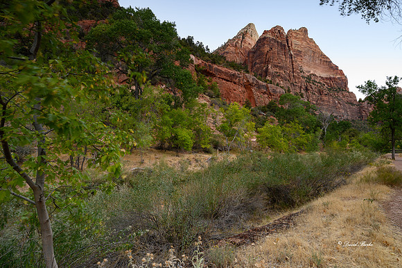Zion NP Oct 2020-22