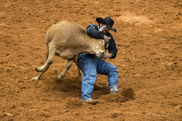 Stock Show 2018-19