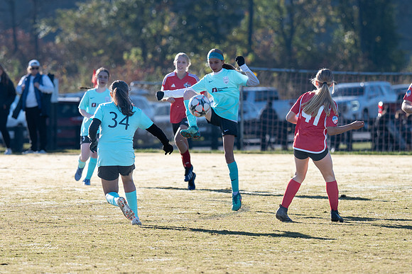 AFA Fillies Oct 2024-1