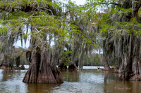 Atchafalaya Basin Louisiana
