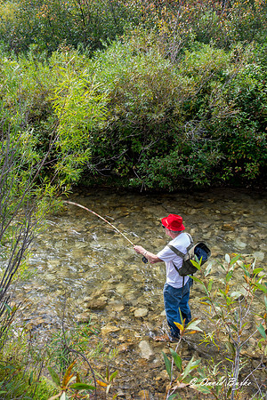 Idaho trip 2015-33