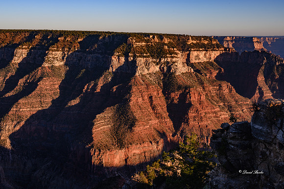 Grand Canyon NP Oct 2020-8