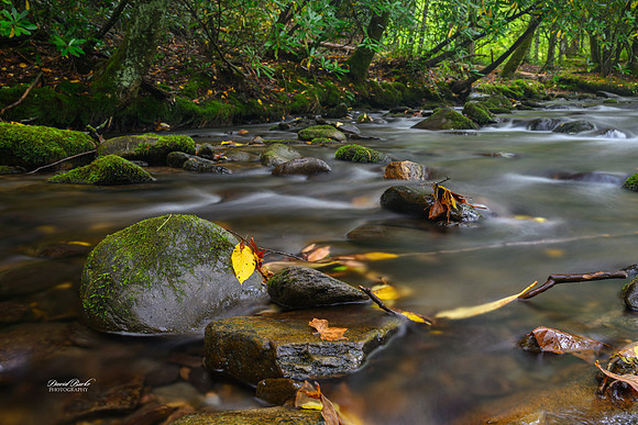 GSMNP 2024-33