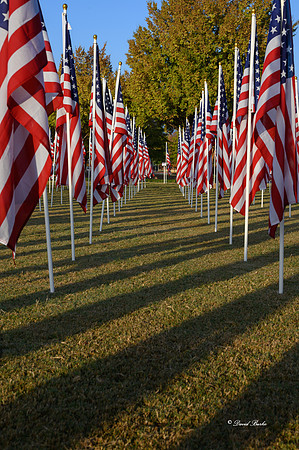 Field of Honor 2020-21