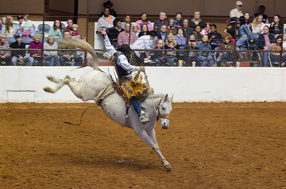Stock Show Rodeo 2013-43