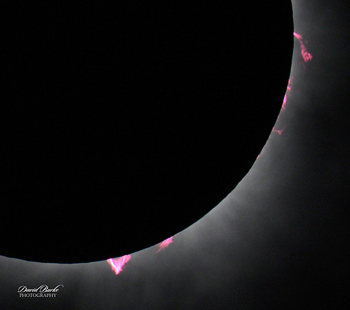 Solar Eclipse 2024-64