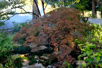 _DSC5549