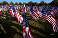 Field of Honor 2020-26