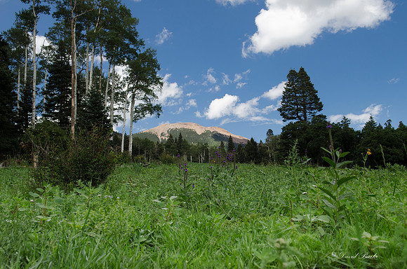 Philmont Aug 2013-11