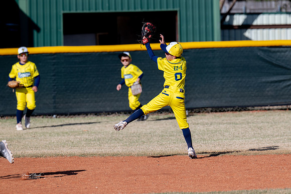 Savana Bananas Oct 2024-8