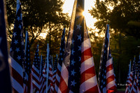 Field of Honor 2020-8