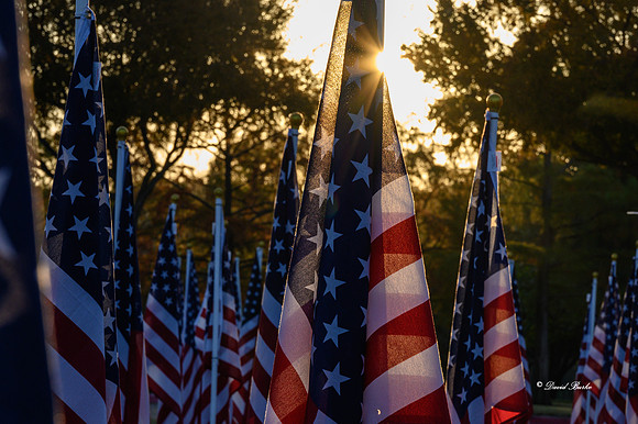Field of Honor 2020-8