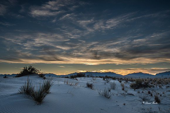 Bosque del Apache 2019-174