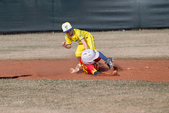 Savana Bananas Oct 2024-13
