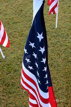 Field of Honor 2020-23