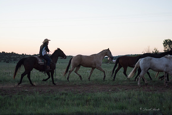 Philmont 2014-58