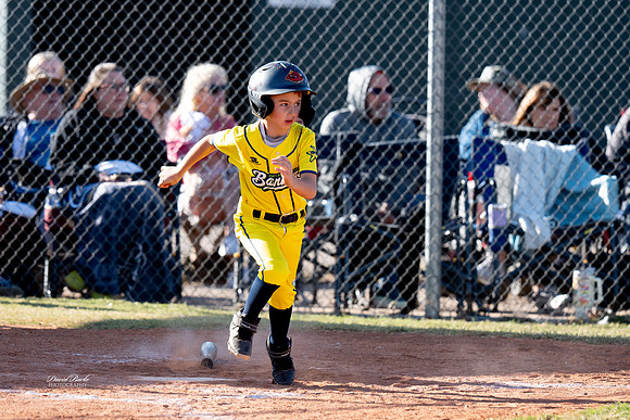 Savana Bananas Oct 2024-4