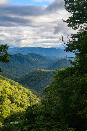 GSMNP 2024-133