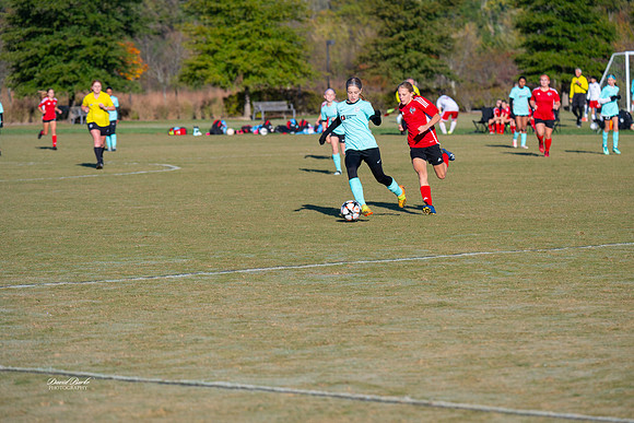 AFA Fillies Oct 2024-14