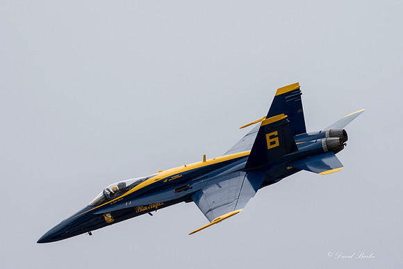 Alliance Air Show 2017-55