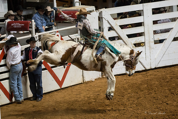 Stock Show 1-30-15-64