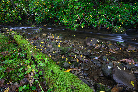 GSMNP 2024-51