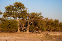 Africa 2024-2204
